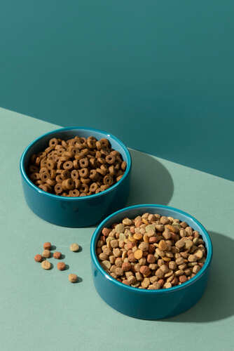 Pet Food