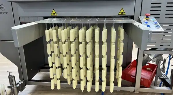 TTstick